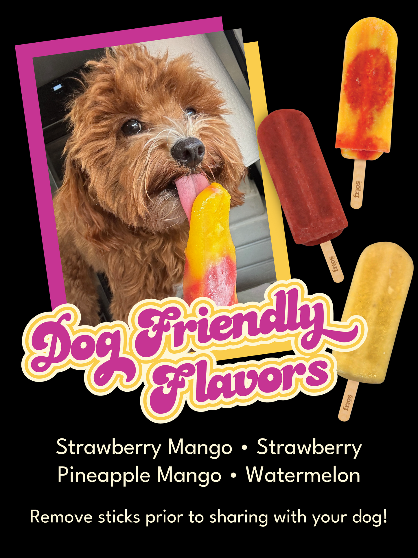2026 Flavor Magnet